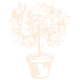 service-icon2