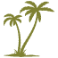 palms